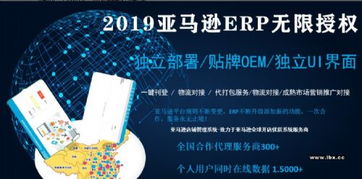 亞馬遜無貨源店群erp系統(tǒng)貼牌定制獨立部署服務(wù)器等