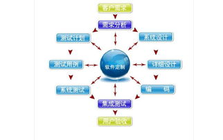 廈門軟件開發(fā)定制服務,找哈泊