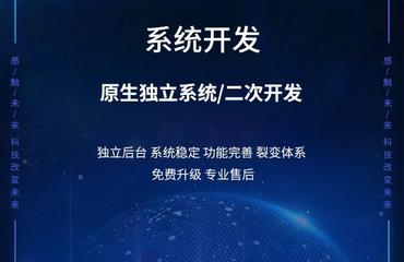 軟件開發(fā)定制小程序公眾號(hào)網(wǎng)站系統(tǒng)和各種app
