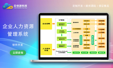 企業(yè)管理軟件開發(fā)SaaS|OA|ERP|CRM進(jìn)銷存定制