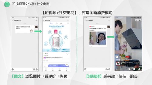新零售生鮮系統(tǒng)軟件開發(fā),新零售生鮮系統(tǒng)源碼,微三云
