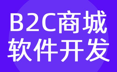 b2c商城軟件開(kāi)發(fā) b2c購(gòu)物電商軟件定制公司 紅匣子科技